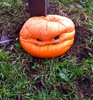 grumpy pumpkin