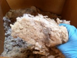 This gives you an idea how densely packed the wool comes. It's almost like felt.