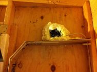 It helped in some cases to put a piece of cardboard under the outlet so the spray foam would stay in place.